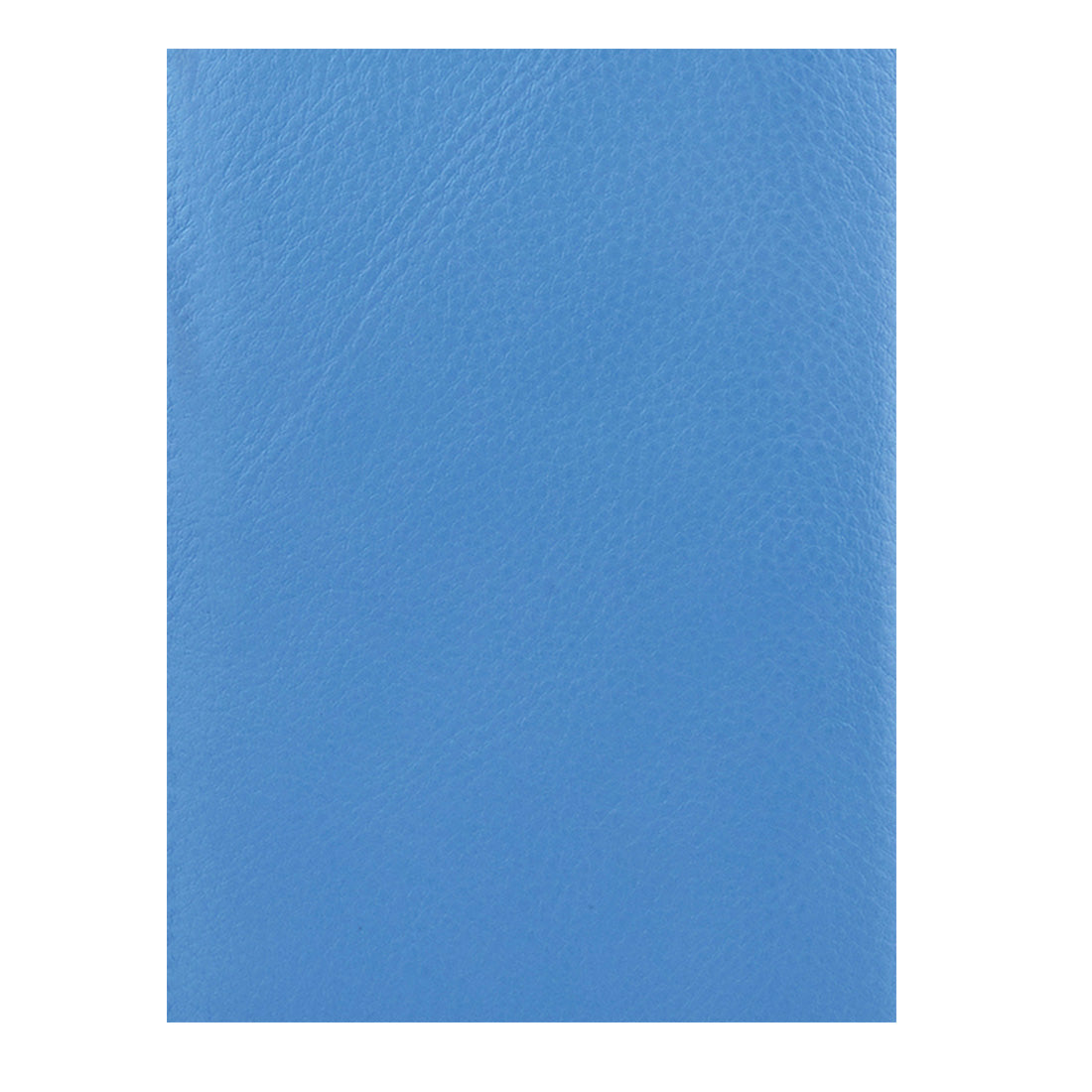 Genuine Grained Leather Sky Blue Unisex Multi-Purpose Holder